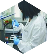 �߲˙z�y(c��)